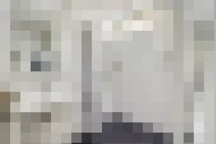 Fivelingo 89 Utrecht thumbnail 26