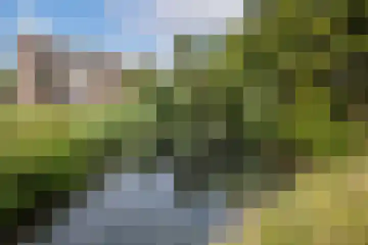 Fivelingo 89 Utrecht thumbnail 28