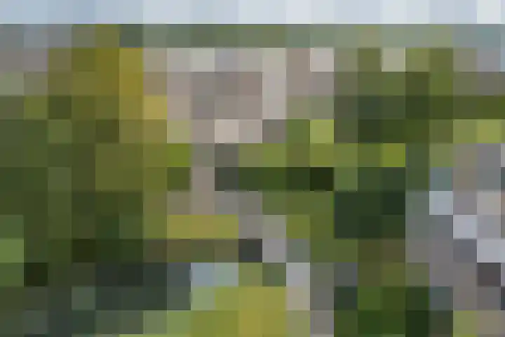 Fivelingo 89 Utrecht thumbnail 29