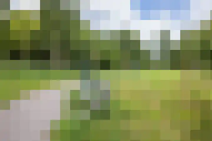 Fivelingo 89 Utrecht thumbnail 31