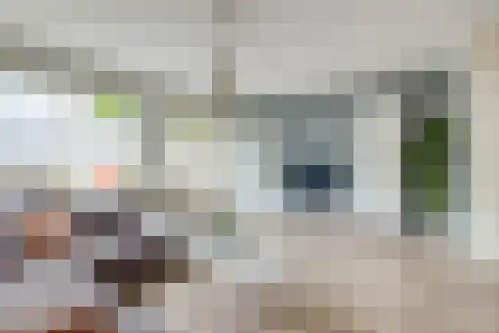 Fivelingo 89 Utrecht thumbnail 40