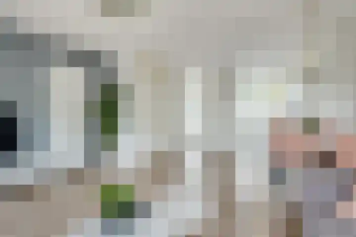 Fivelingo 89 Utrecht thumbnail 6