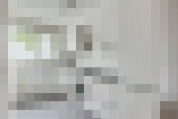 Fivelingo 89 Utrecht thumbnail 8