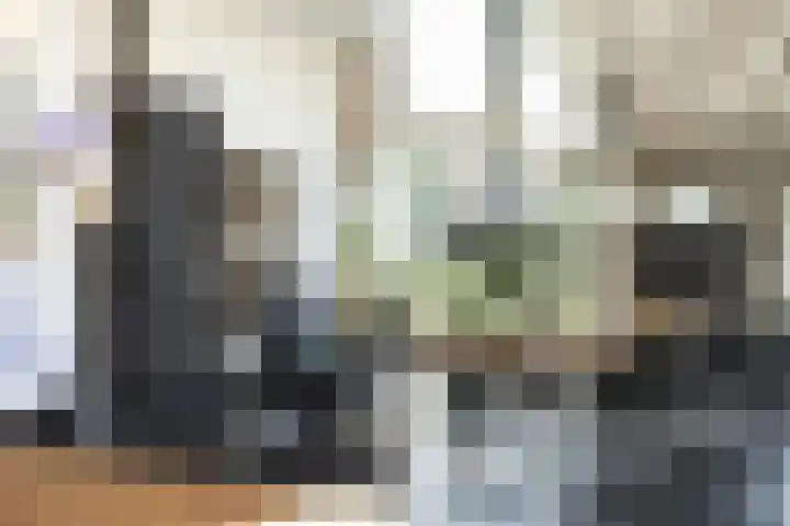 Fjildwei 17 Akmarijp thumbnail 20