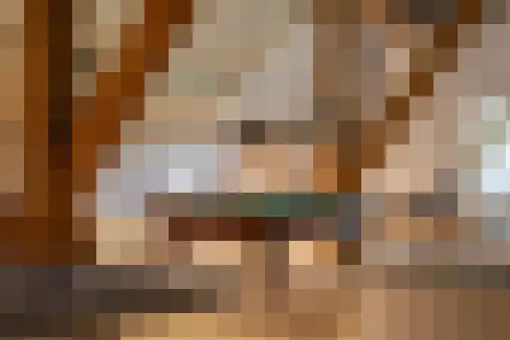 Fjildwei 17 Akmarijp thumbnail 47