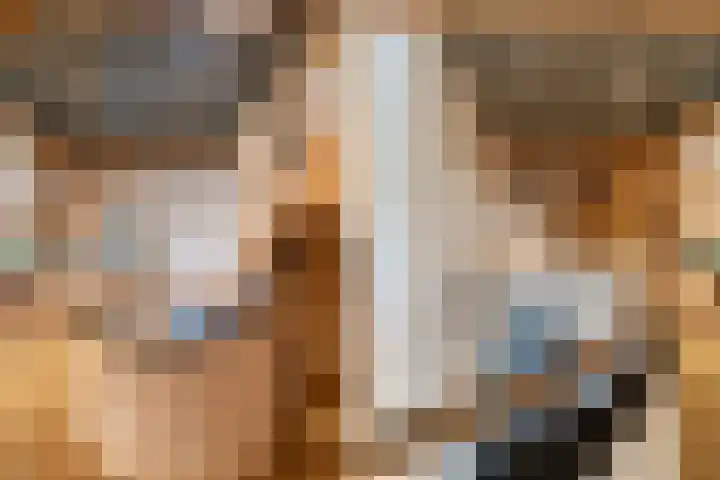 Fjildwei 17 Akmarijp thumbnail 49