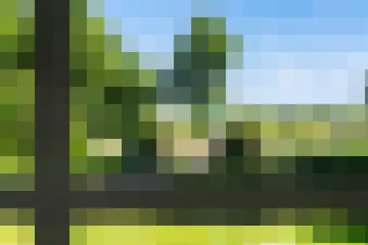 Fjildwei 17 Akmarijp thumbnail 54
