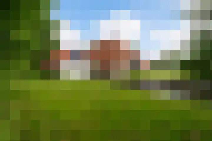 Fjildwei 17 Akmarijp thumbnail 59