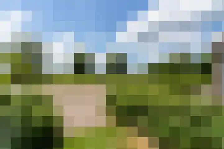 Fjildwei 17 Akmarijp thumbnail 63