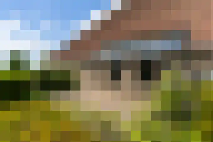 Fjildwei 17 Akmarijp thumbnail 64