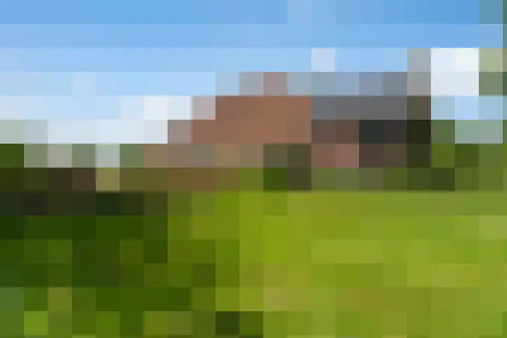 Fjildwei 17 Akmarijp thumbnail 65