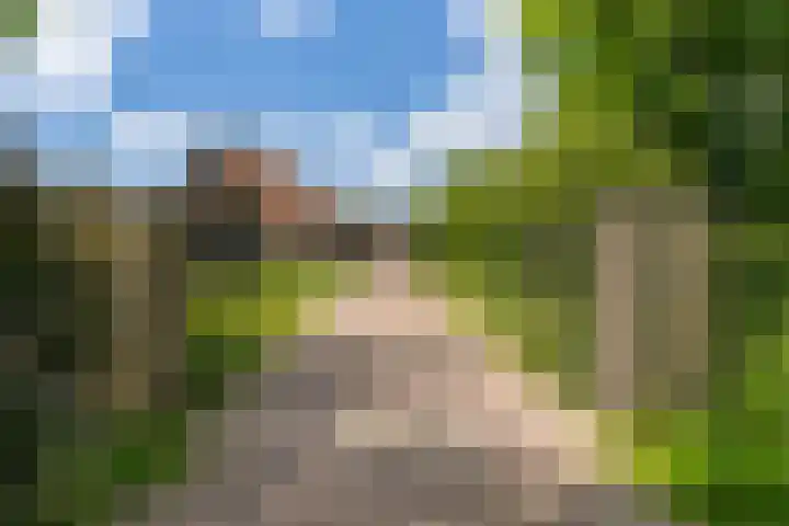 Fjildwei 17 Akmarijp thumbnail 66