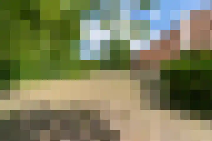 Fjildwei 17 Akmarijp thumbnail 68