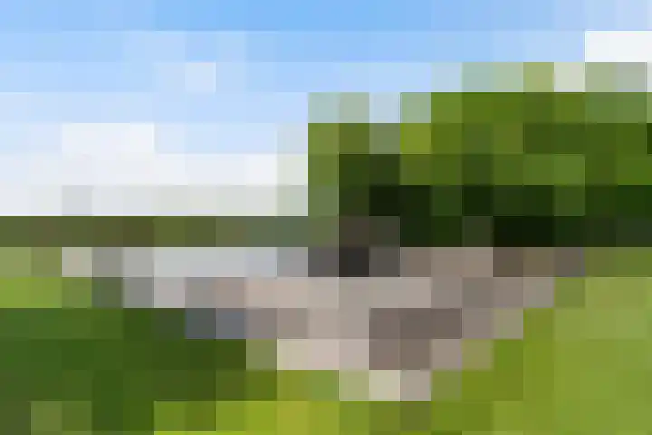 Fjildwei 17 Akmarijp thumbnail 7