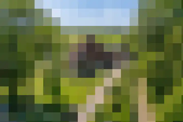 Fjildwei 17 Akmarijp thumbnail 76