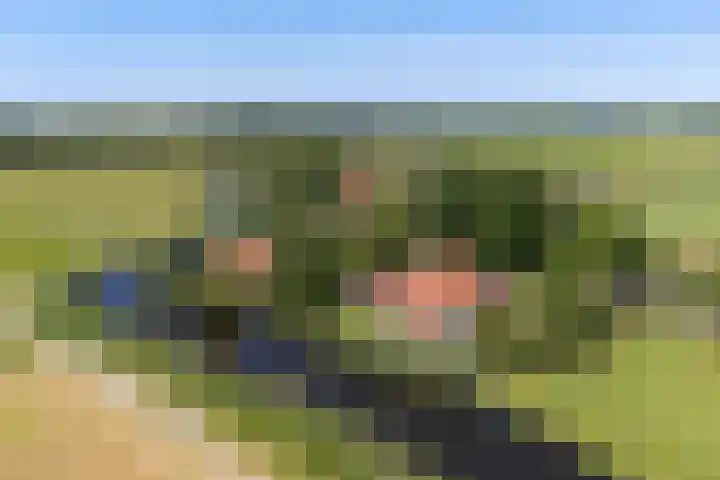 Fjildwei 17 Akmarijp thumbnail 78
