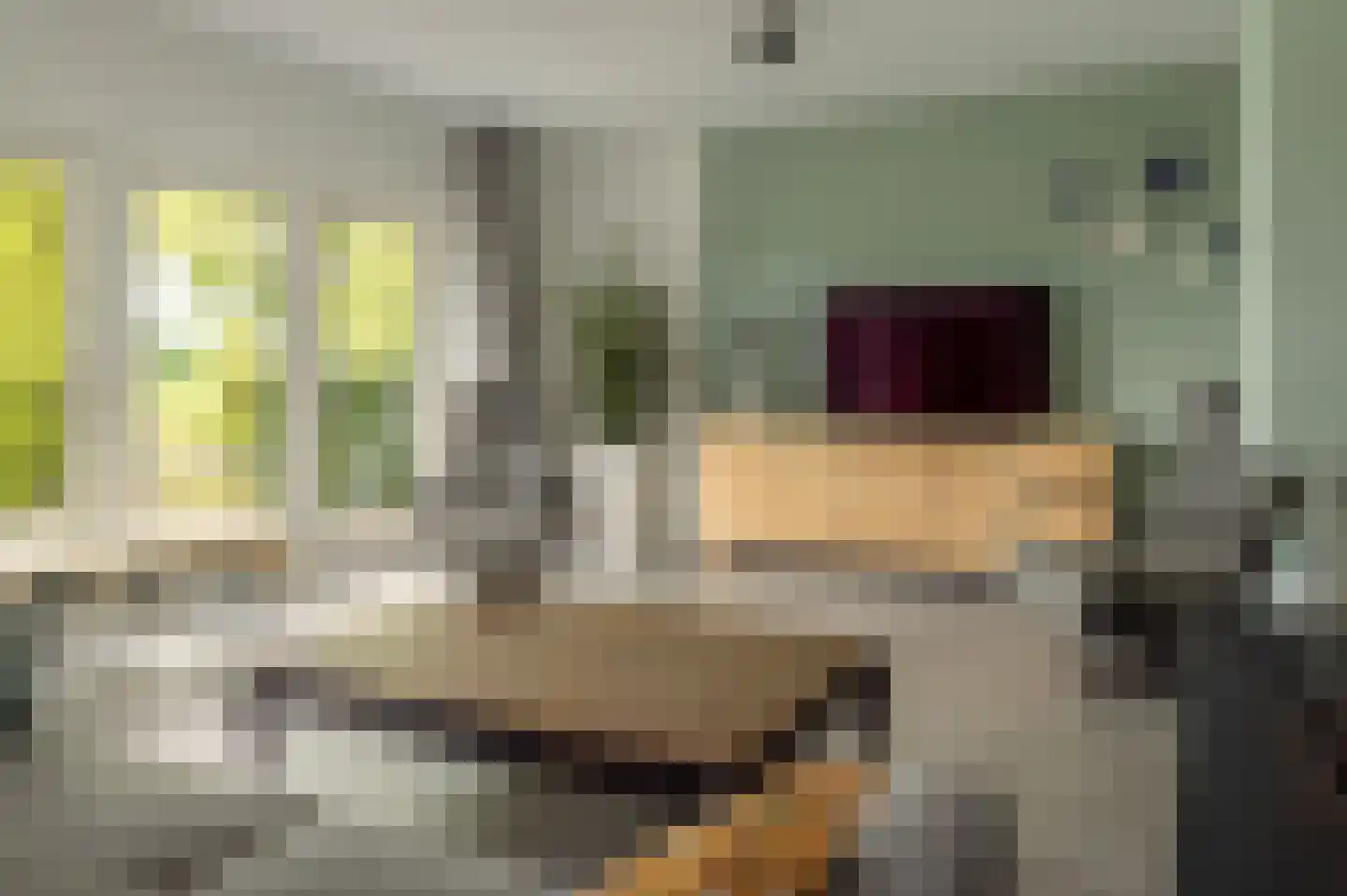 Fjildwei 39 Akmarijp thumbnail 10