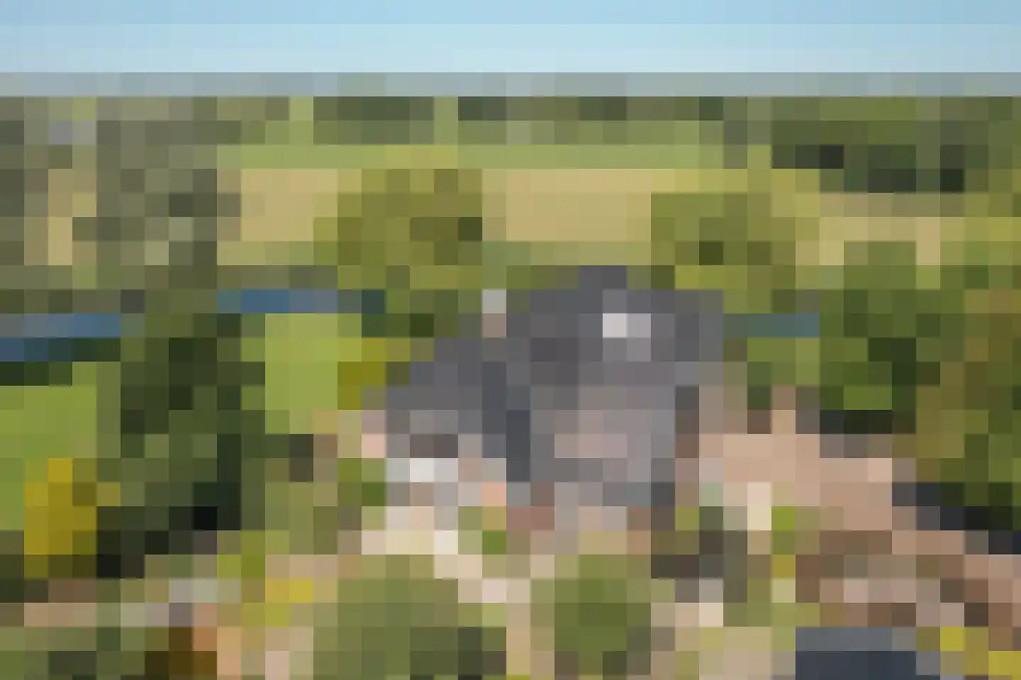 Fjildwei 39 Akmarijp thumbnail 63