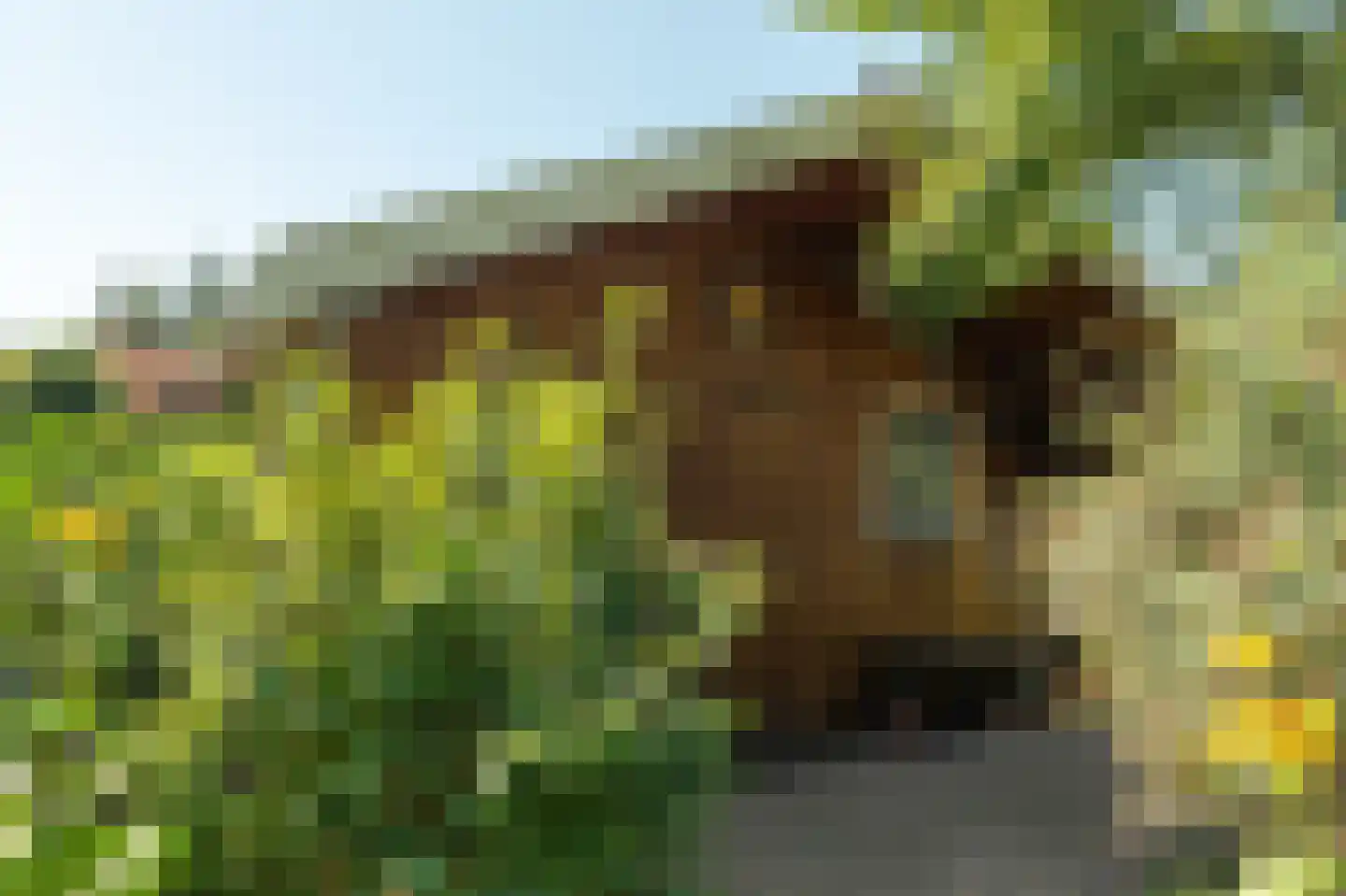 Fjildwei 39 Akmarijp thumbnail 68