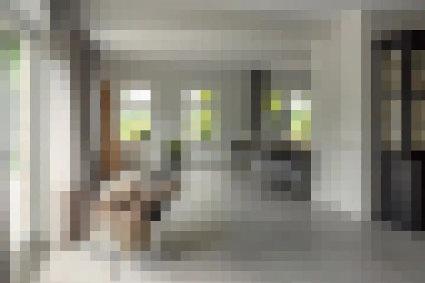 Fjildwei 39 Akmarijp thumbnail 8