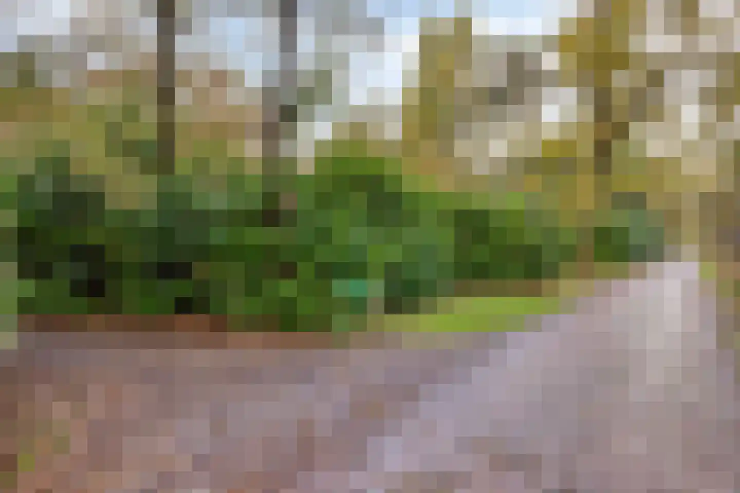 Flaasdijk 1 1189 Chaam thumbnail 6