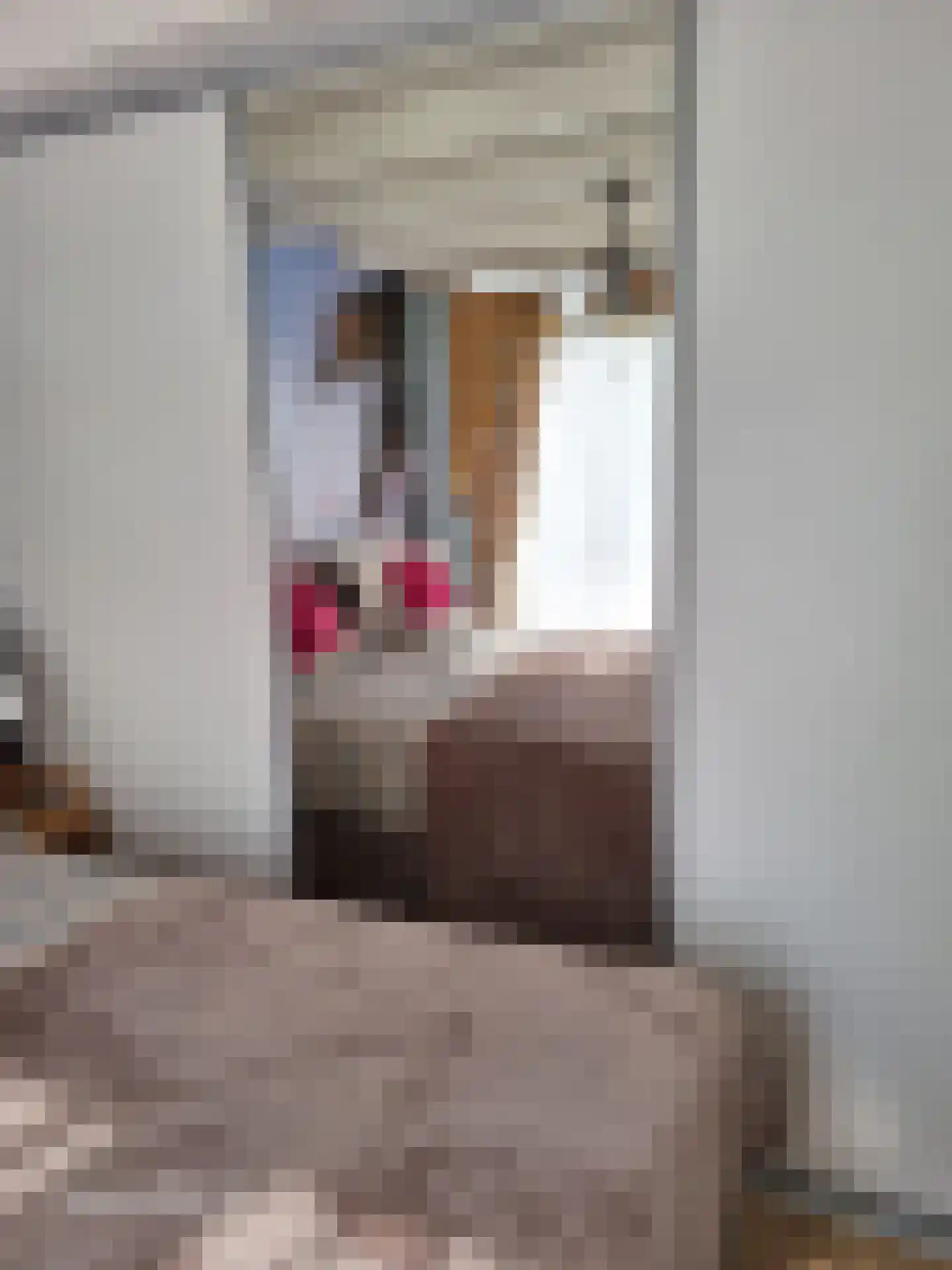 Flaasdijk 1 Chaam thumbnail 21