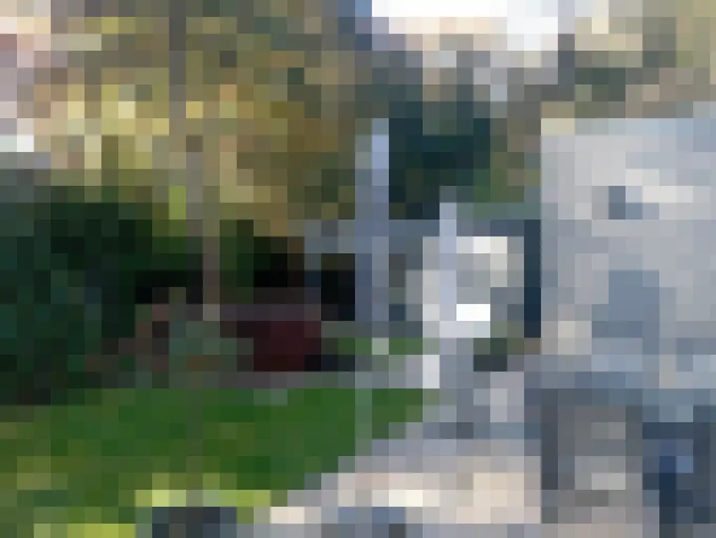 Flaasdijk 1 Chaam thumbnail 26