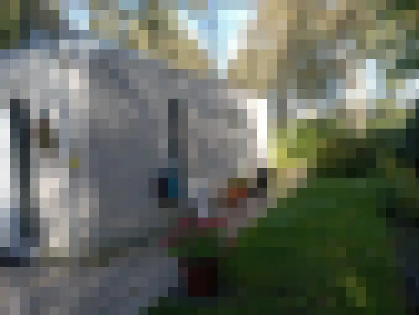 Flaasdijk 1 Chaam thumbnail 27