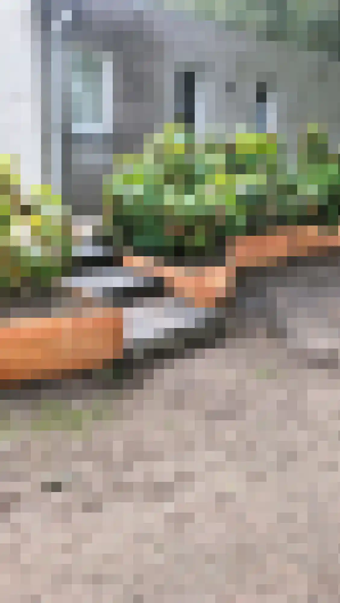 Flaasdijk 1 Chaam thumbnail 32