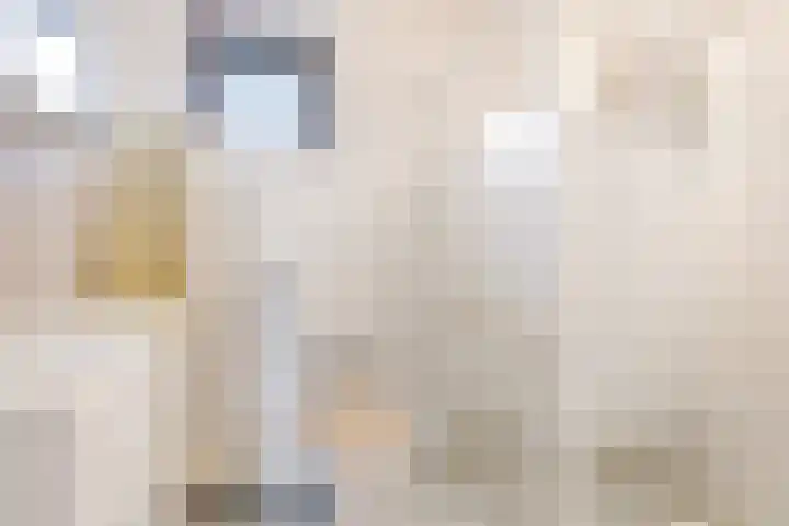 Flakkee 97 Lelystad thumbnail 16