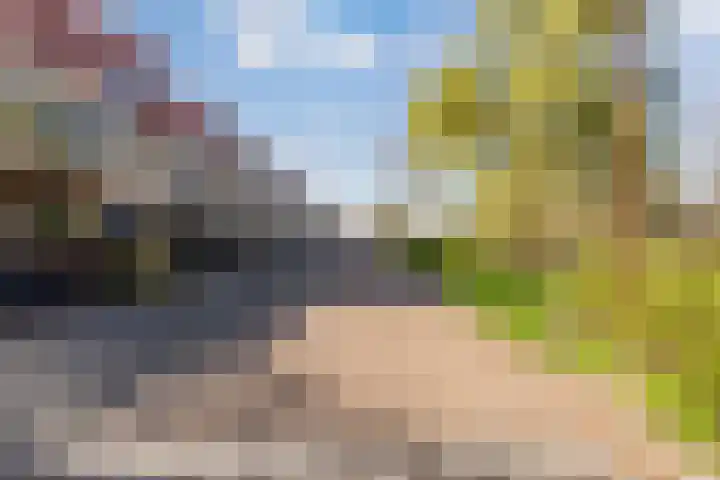 Flakkee 97 Lelystad thumbnail 27
