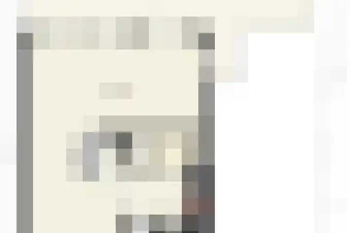 Flakkee 97 Lelystad thumbnail 29