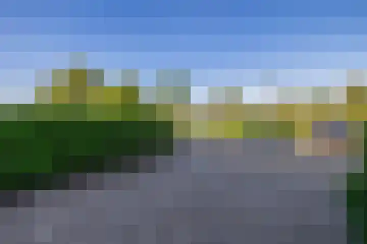 Flamingokade 64 Groningen thumbnail 11