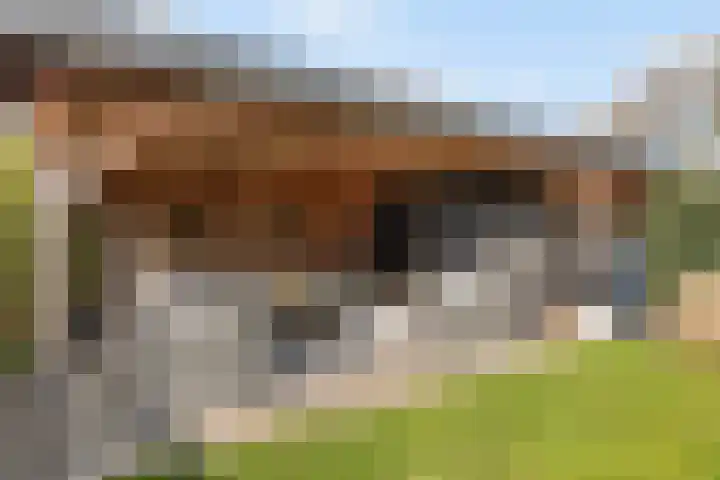 Flamingokade 64 Groningen thumbnail 24