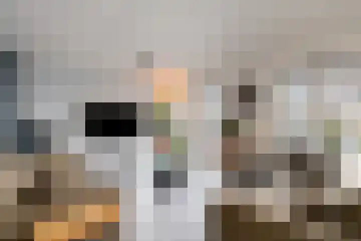 Flamingokade 64 Groningen thumbnail 34