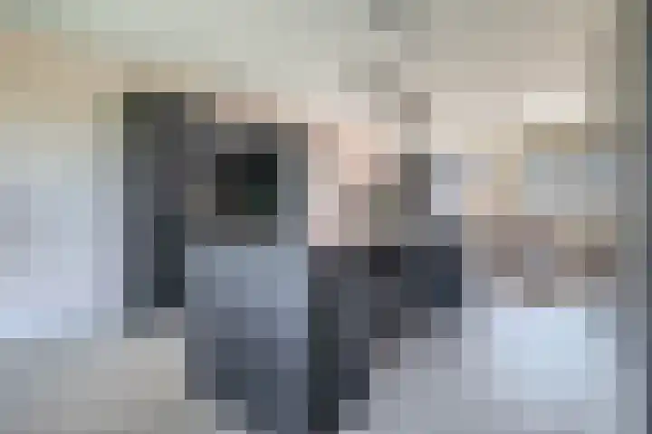 Flamingokade 64 Groningen thumbnail 38