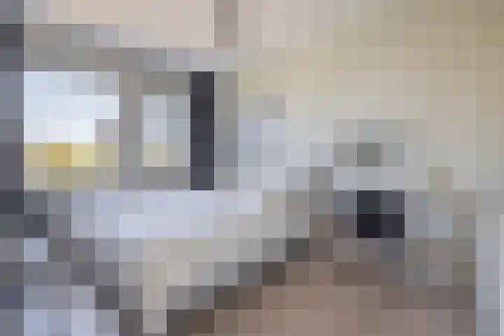 Flamingokade 64 Groningen thumbnail 40