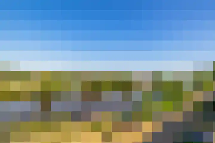 Flamingokade 64 Groningen thumbnail 55