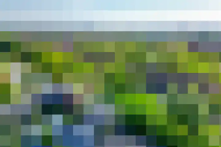 Flamingokade 64 Groningen thumbnail 66