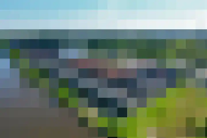 Flamingokade 64 Groningen thumbnail 7