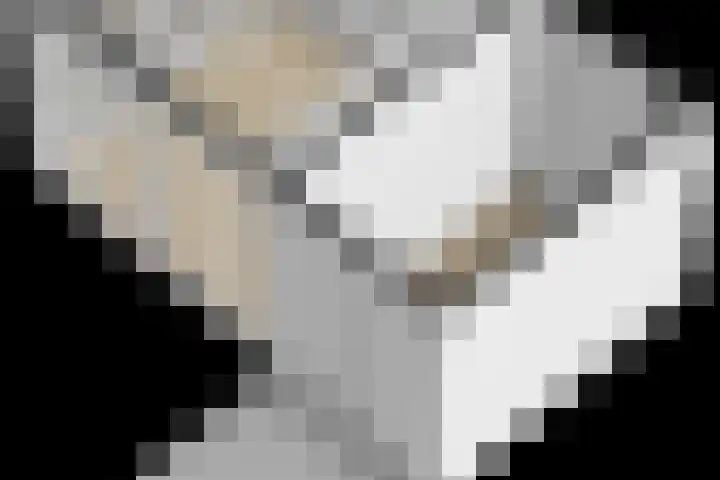 Flamingokade 64 Groningen thumbnail 77