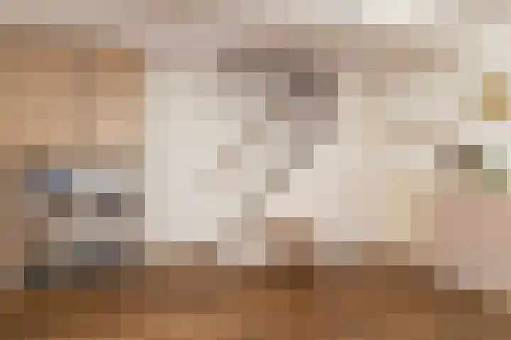 Flamingolaan 13 Andijk thumbnail 21