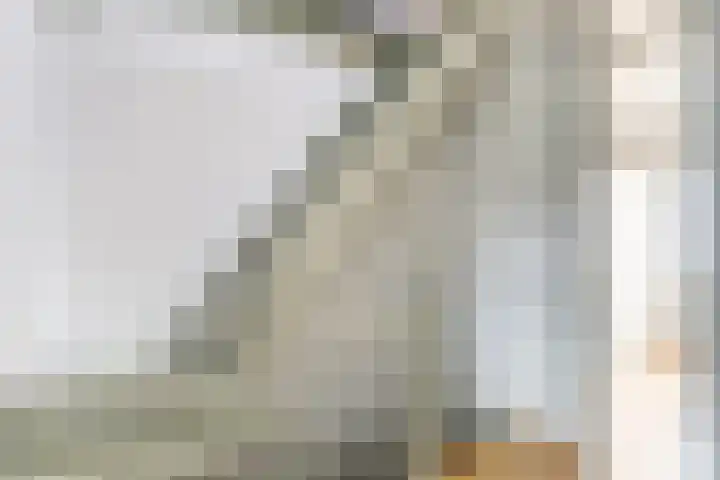 Flamingolaan 9 Andijk thumbnail 11