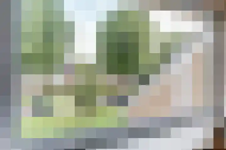 Flamingolaan 9 Andijk thumbnail 14