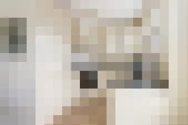 Flamingolaan 9 Andijk thumbnail 7