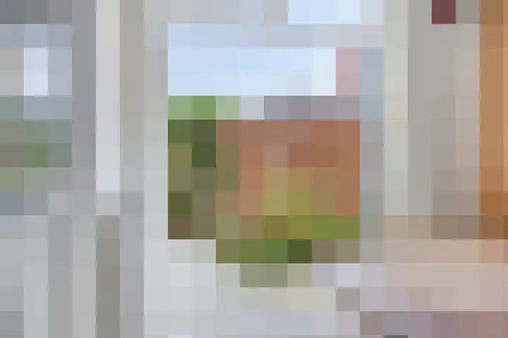 Flankeurspoort 3 Groningen thumbnail 19