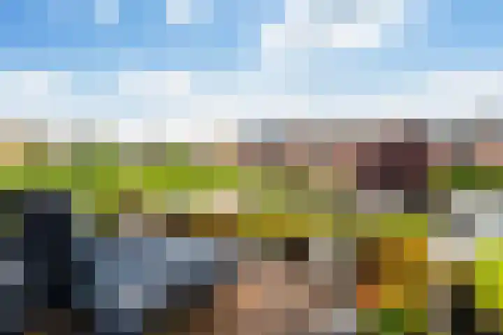 Flankeurspoort 3 Groningen thumbnail 22
