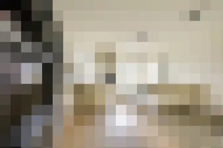 Flavius 5 Wijk bij Duurstede thumbnail 10