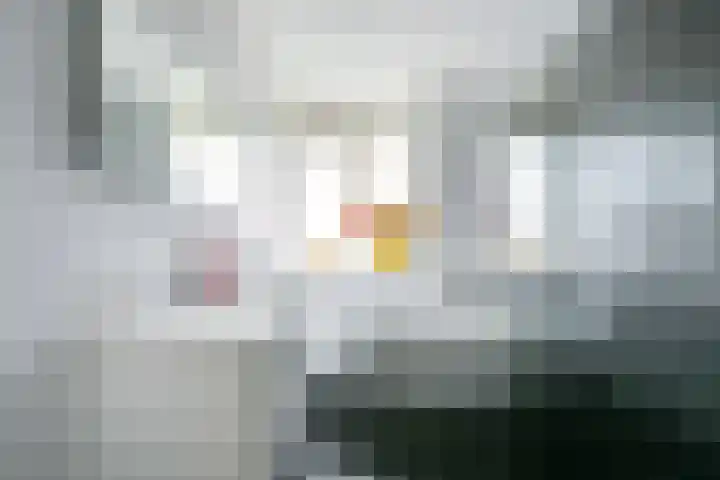 Flavius 5 Wijk bij Duurstede thumbnail 40