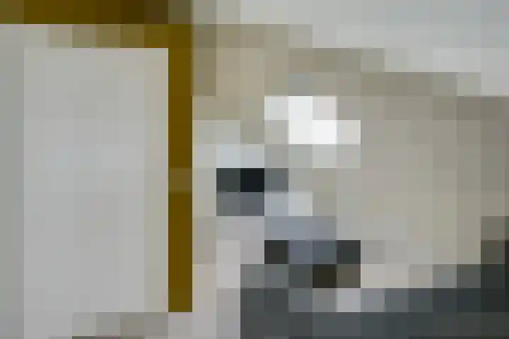 Flavius 5 Wijk bij Duurstede thumbnail 49